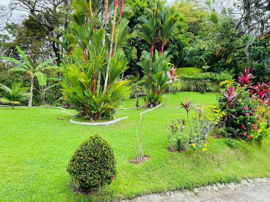Sueños de Amor! Hermoso y Acogedor lugar Quepos Exterior foto